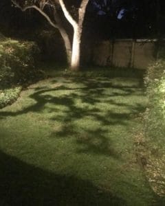 A tree casts a dramatic shadow on a well kept lawn