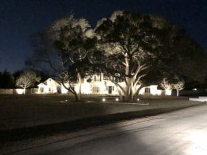 outdoor lighting lights up a home