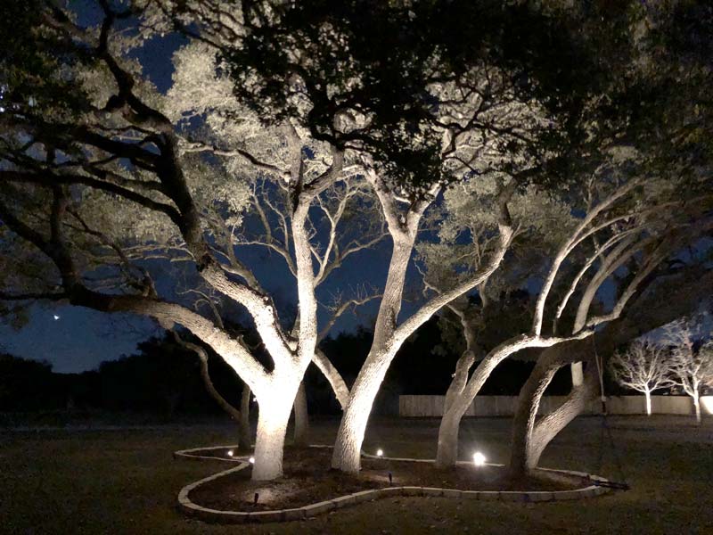 landscape lighting on trees