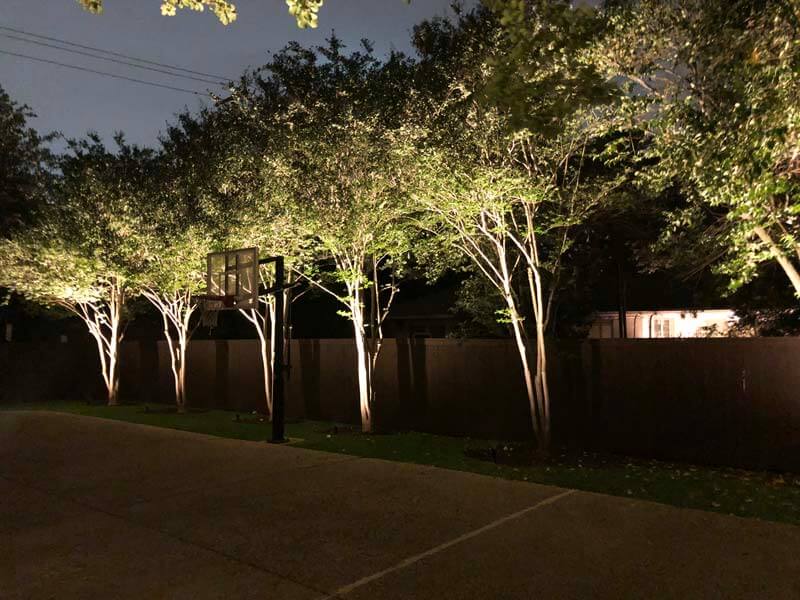 Lights outside to light up a driveway.