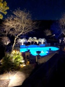 poolside lighting and landscape lighting up little palm trees