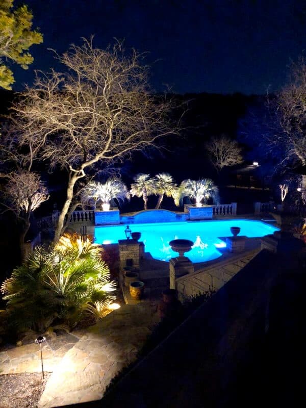 poolside lighting and landscape lighting up little palm trees