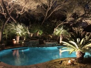 poolside lighting and landscape lighting up little palm trees